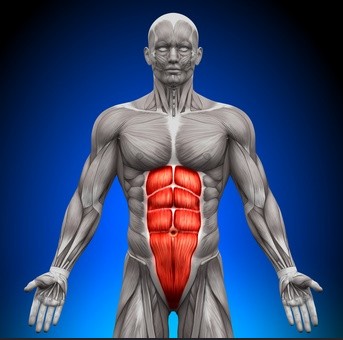 Abs